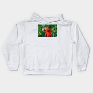 macaw Kids Hoodie